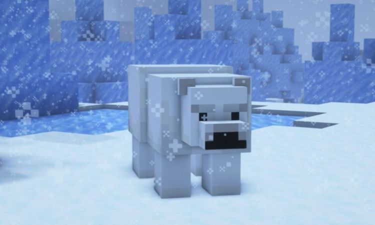 Không thể nhân giống gấu Bắc Cực trong Minecraft