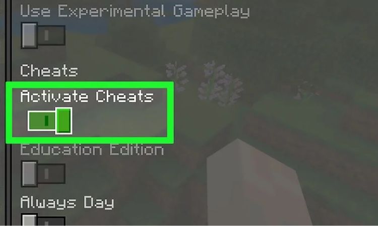 Thao tác bật Cheat Code trong Minecraft PE