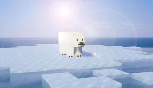 Nên cho gấu Bắc Cực trong Minecraft ăn gì để dễ dàng thuần hóa?